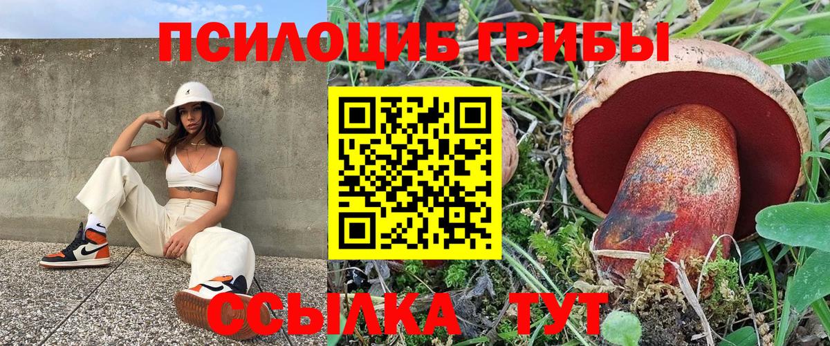 Михайловка  Галлюциногенные грибы Cubensis  Вход с VPN  Галлюциногенные грибы мухоморы 