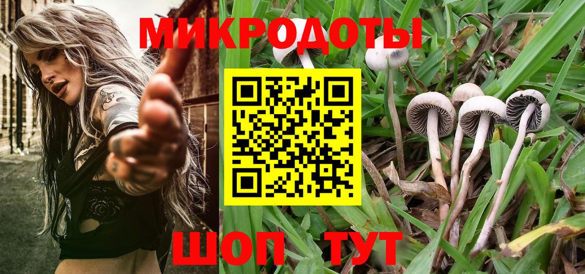 Псилоцибиновые грибы Magic Shrooms Михайловка